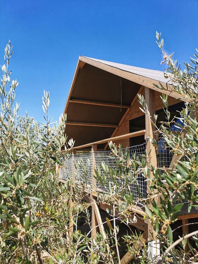 Lodge Glamping E Cirelliwines Abruzzo *