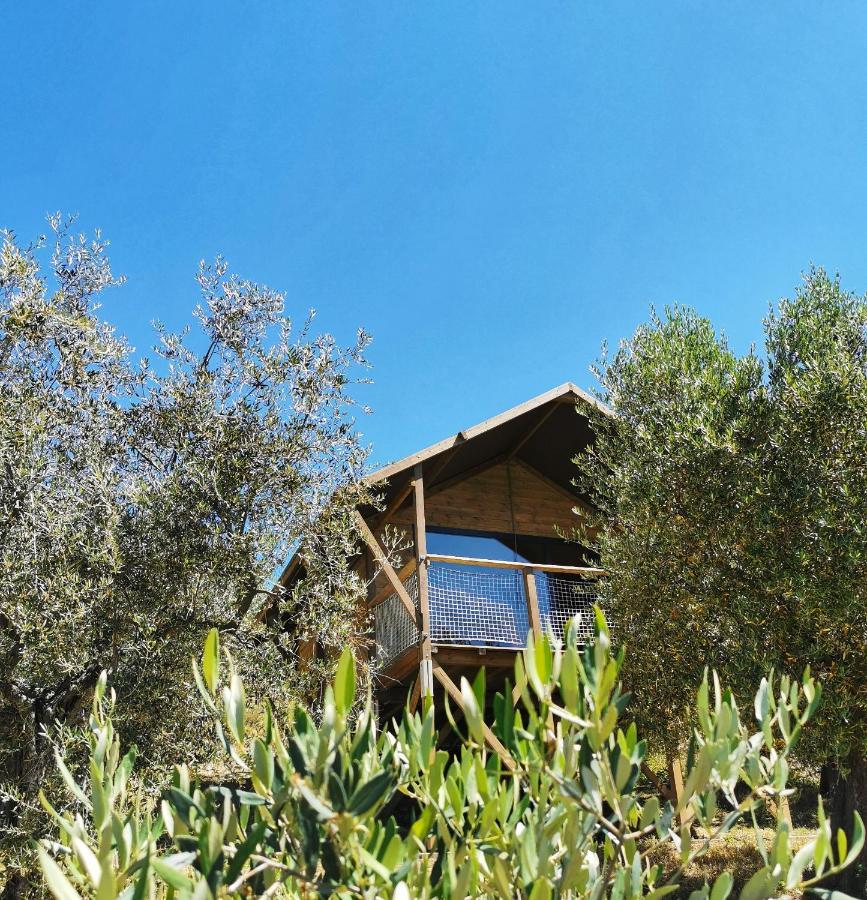 Glamping E Cirelliwines Abruzzo Lodge