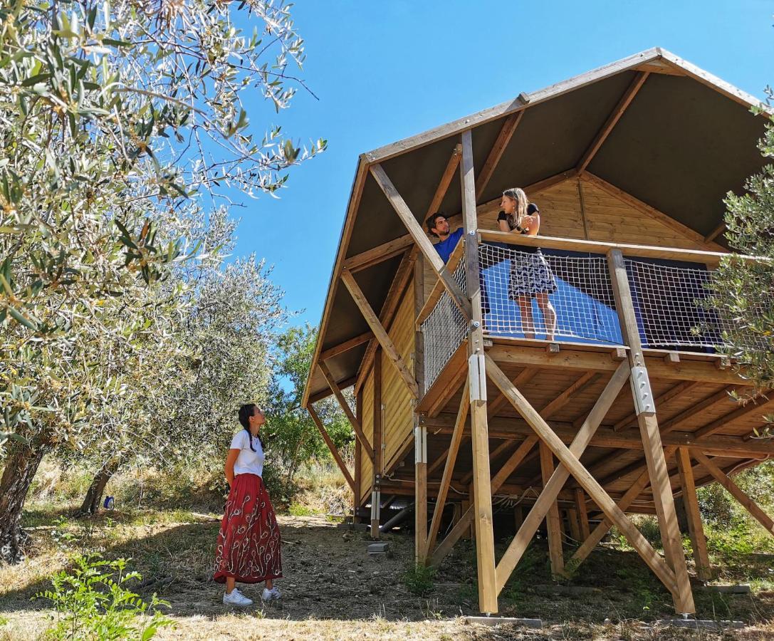 Glamping E Cirelliwines Abruzzo Citta Sant'Angelo
