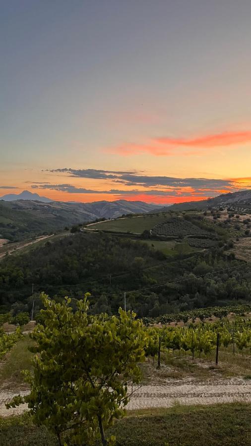 Glamping E Cirelliwines Abruzzo *
