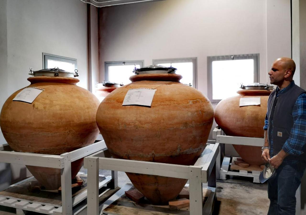 Glamping E Cirelliwines Abruzzo * Citta Sant'Angelo