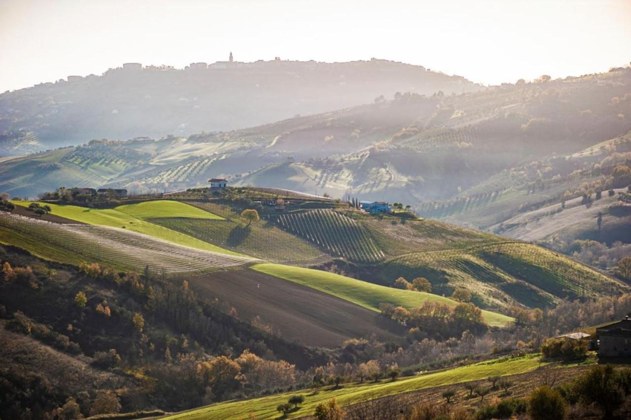 Glamping E Cirelliwines Abruzzo Lodge *