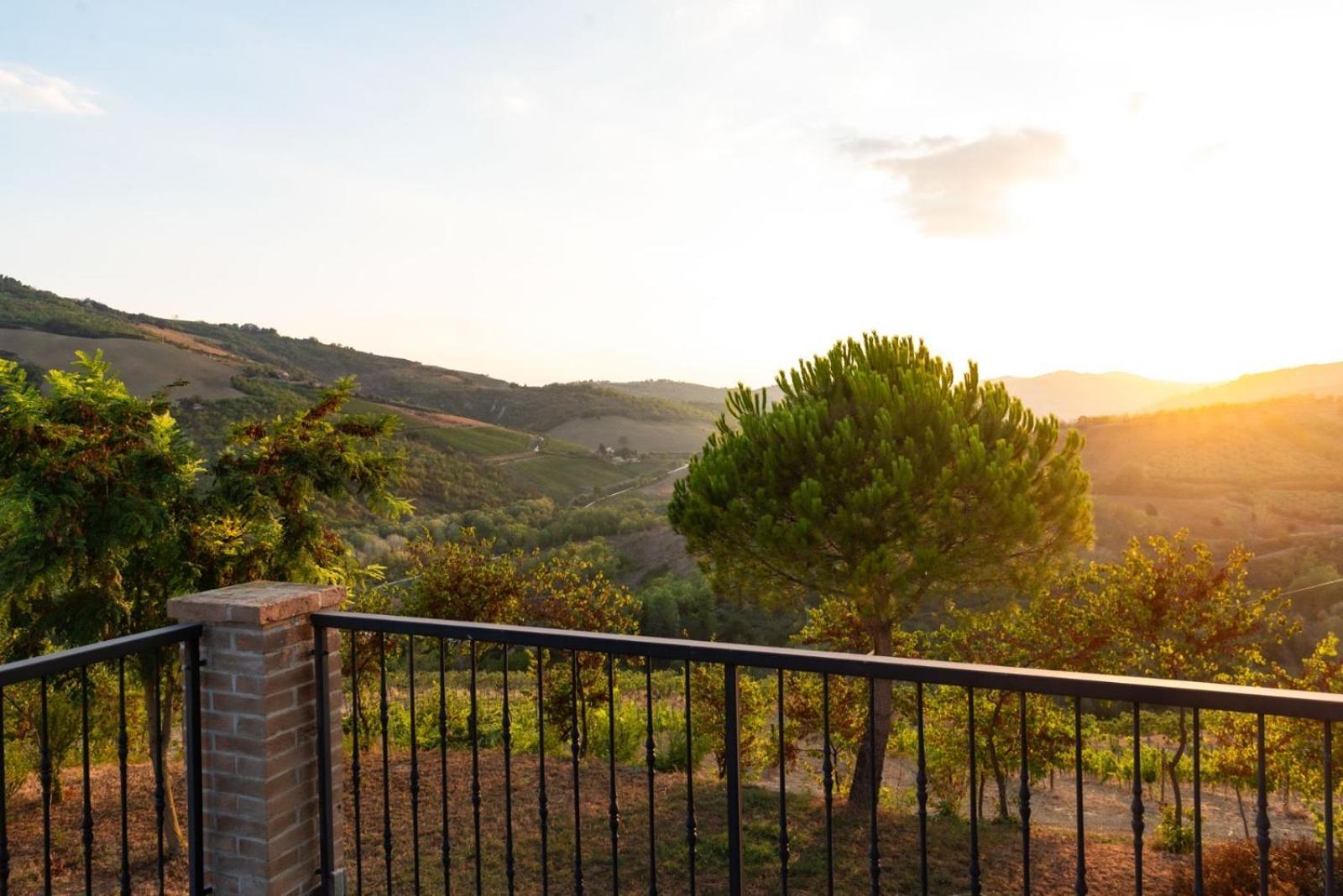 Glamping E Cirelliwines Abruzzo Citta Sant'Angelo